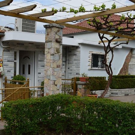 Vila Ss Kekezi Βίλα Αργυρόκαστρο Εξωτερικό φωτογραφία